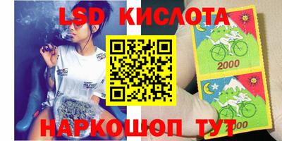 СК Донецк