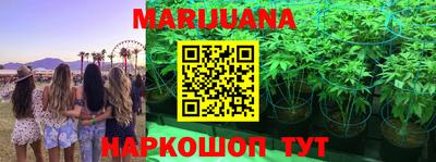 метадон Донской